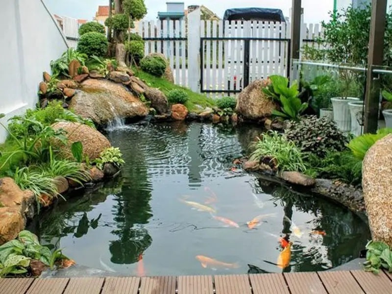 thi-cong-tieu-canh-san-vuon-5