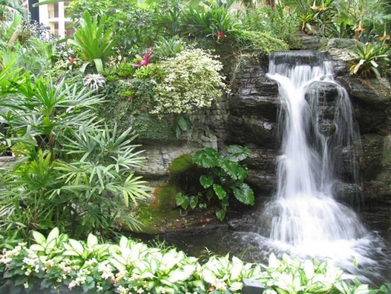thi-cong-tieu-canh-san-vuon-6