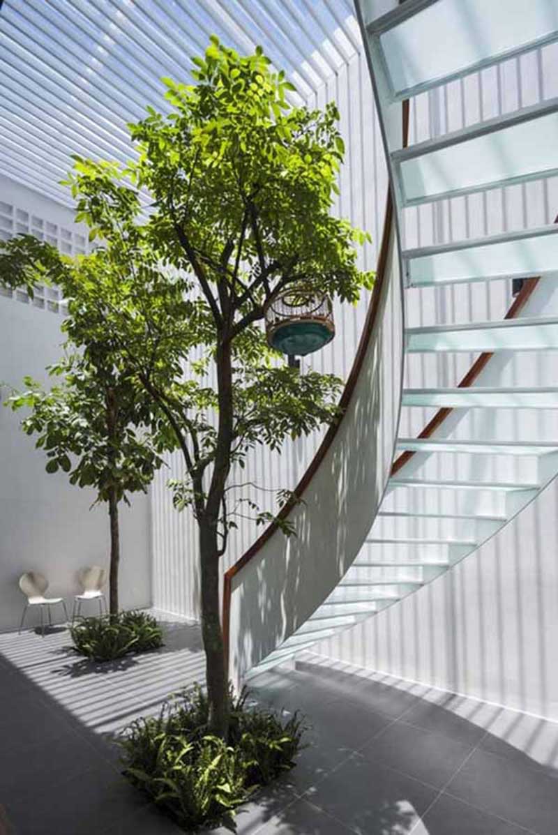 tiểu cảnh giếng trời 3