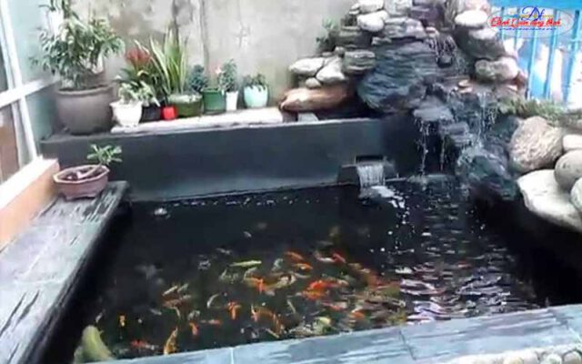 hồ cá koi ngoài trời đẹp