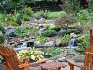 Một hồ cá koi nên được đặt ở phần thấp nhất của sân nhà bạn!