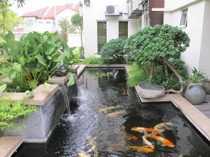 thi-cong-ho-ca-koi-Dong-Nai-6