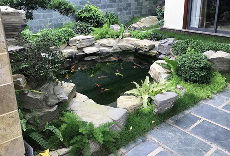 mau ho ca koi mini dep 05