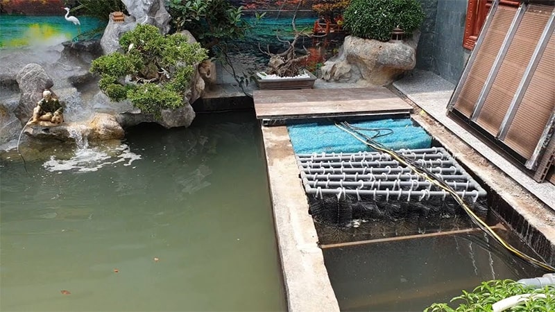 thi công hệ thống lọc hồ cá koi