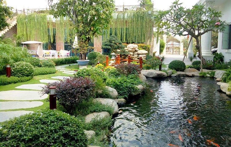 tiểu cảnh hồ cá đẹp 5