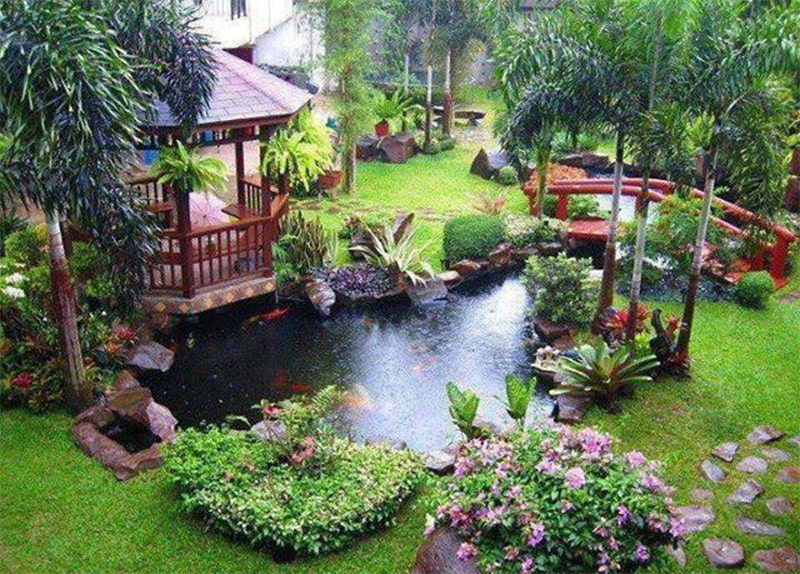 cây cỏ trồng xung quanh hồ cá