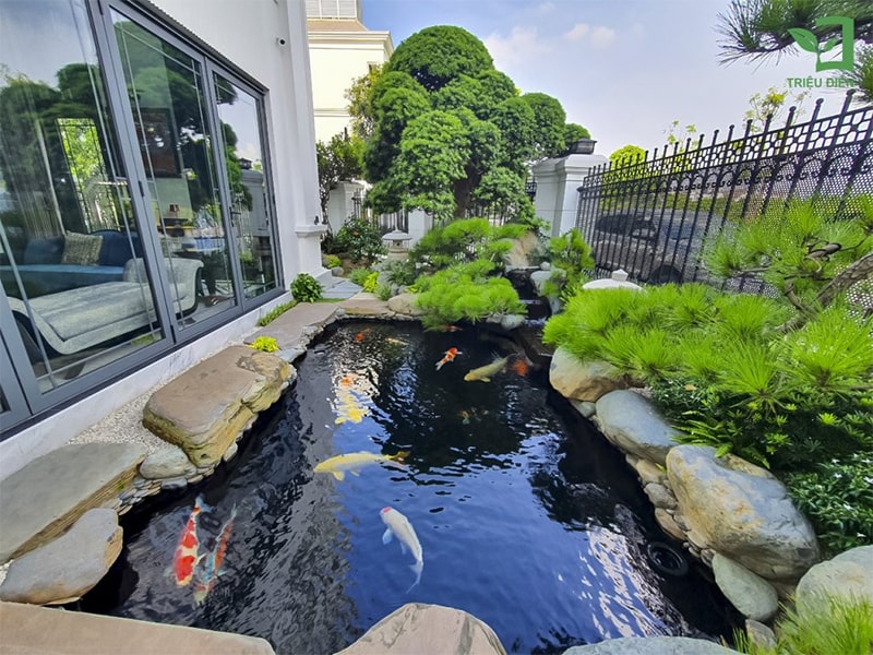 thi công hồ cá koi bà rịa vũng tàu 3