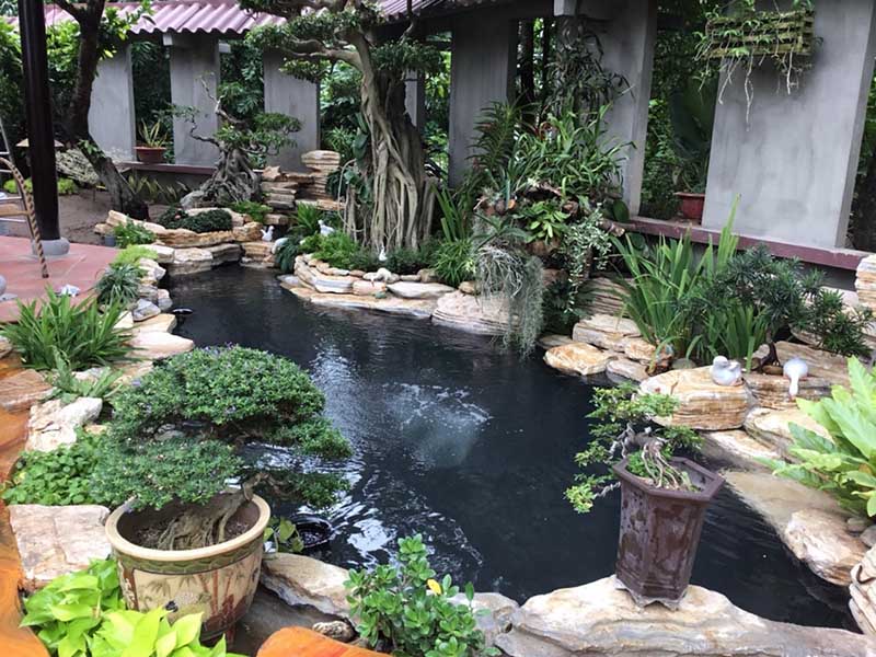 Hòn non bộ mini kết hợp hồ nuôi cá ngoài trời 2