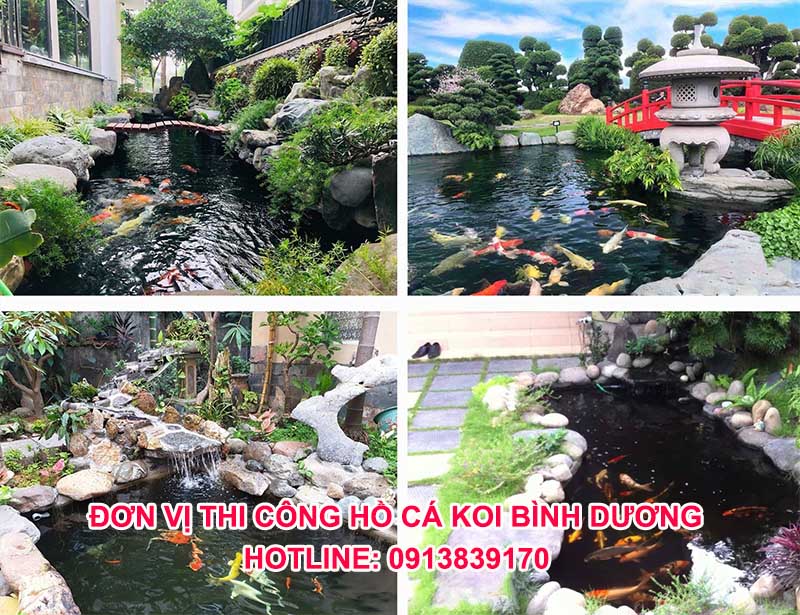 đơn vị thi công hồ cá koi bình dương