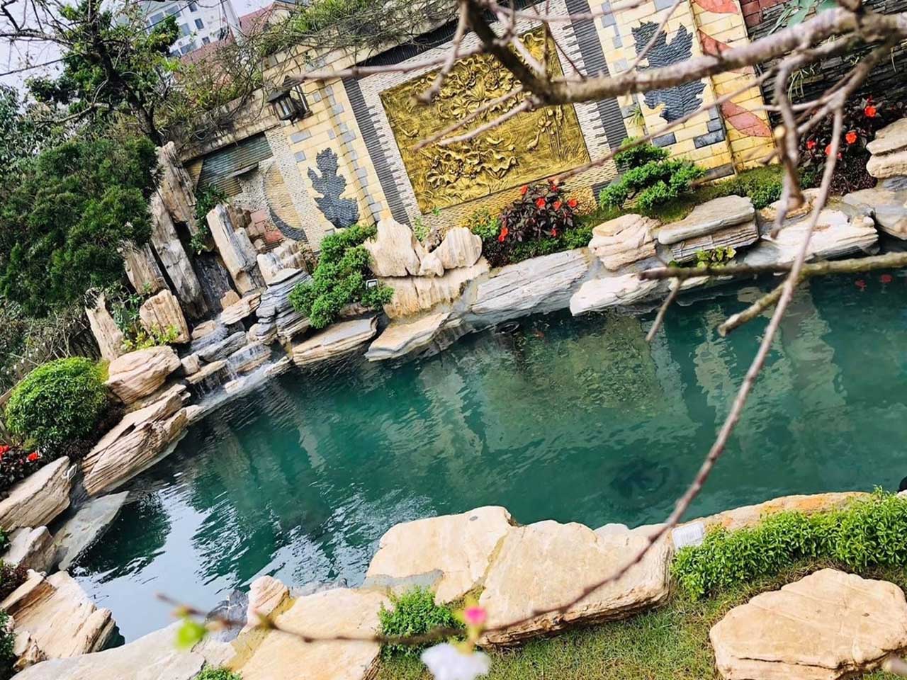 thiết kế hồ cá koi 1