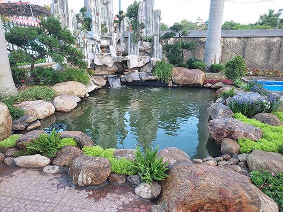 thiết kế hồ cá koi 16
