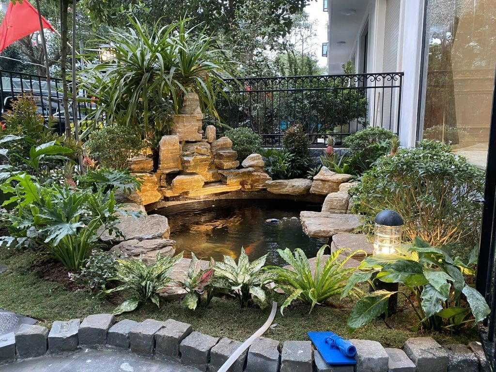 thiết kế hồ cá koi 3