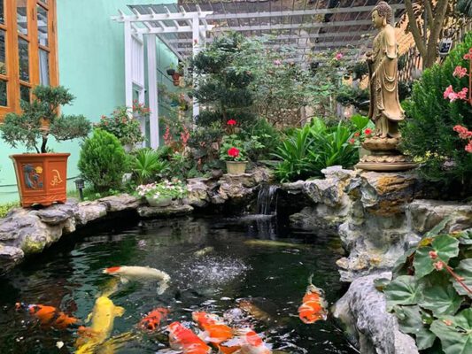 thiết kế hồ cá koi