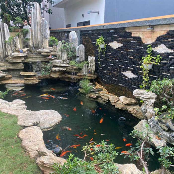 thi công hồ cá koi trà vinh 4