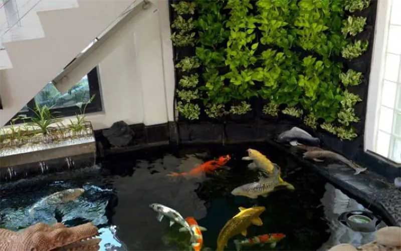 hồ cá koi gầm cầu thang