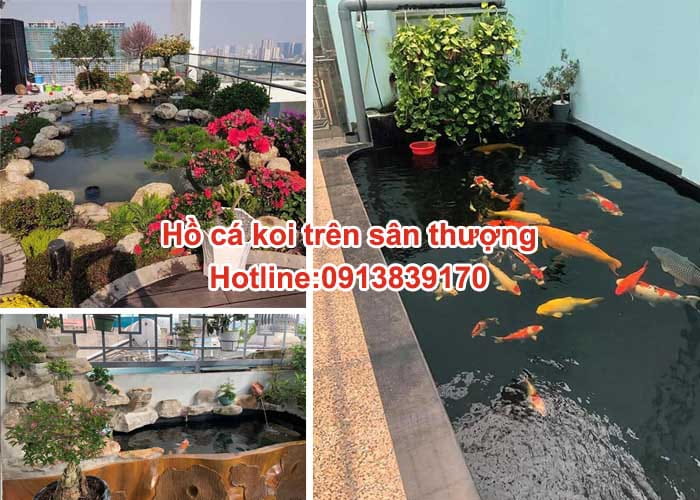 hồ cá koi trên sân thượng 1