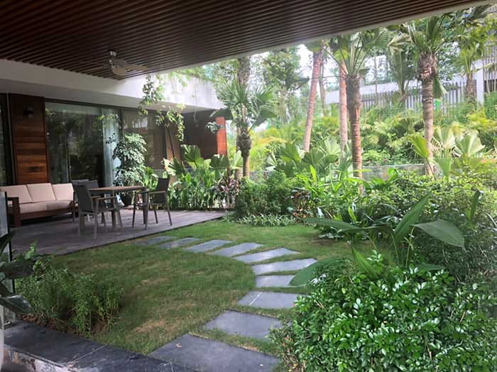 tiểu cảnh sân vườn trước nhà 13